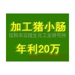 信陽市進(jìn)出口代理與動漫游戲開發(fā) 融合供應(yīng)鏈與創(chuàng)意產(chǎn)業(yè)的商業(yè)機(jī)遇