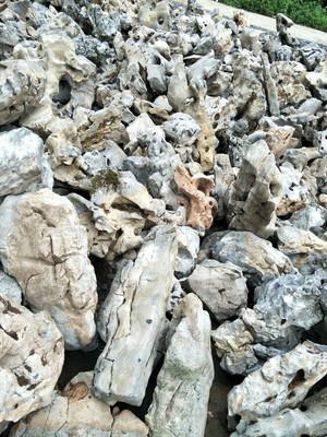 太湖石 自然的雕塑，園林的靈魂